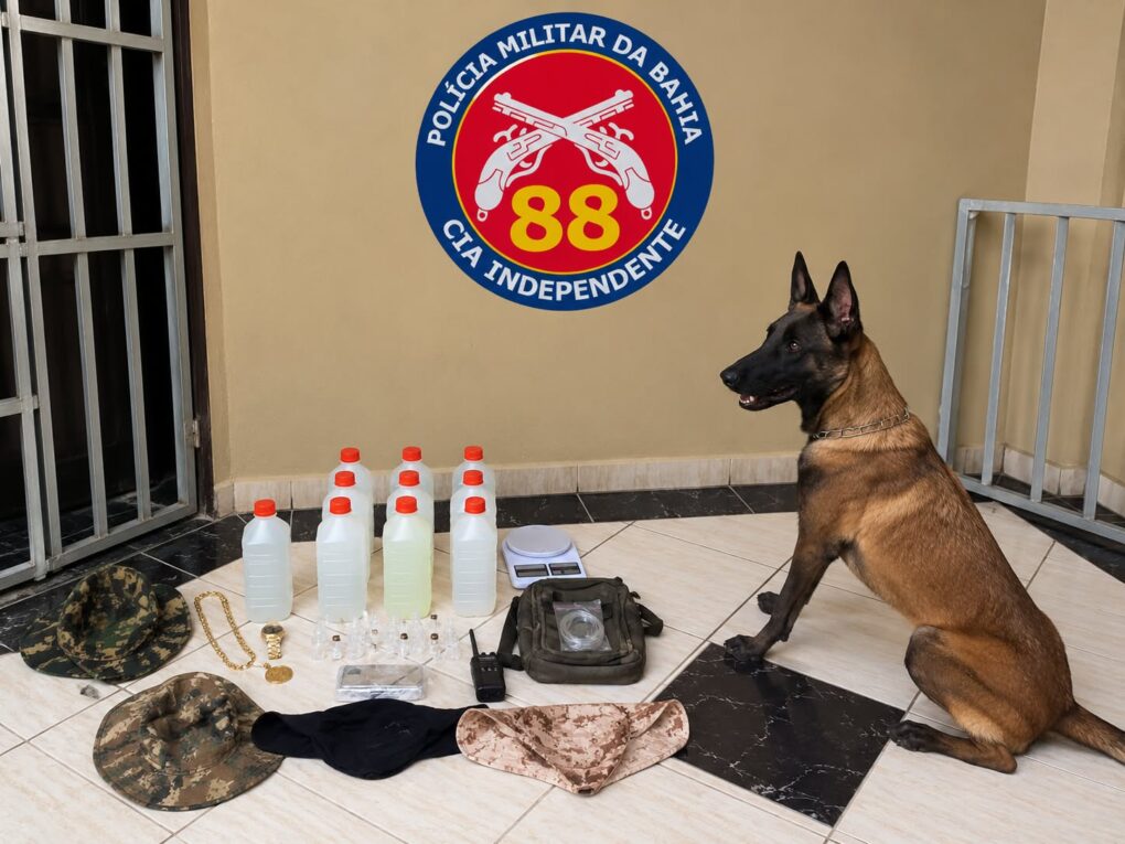88ª CIPM: apreende drogas e arma de fogo em Caravelas com apoio do cão policial Hera